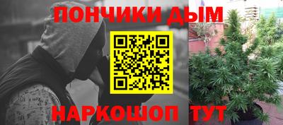 сатива Будённовск